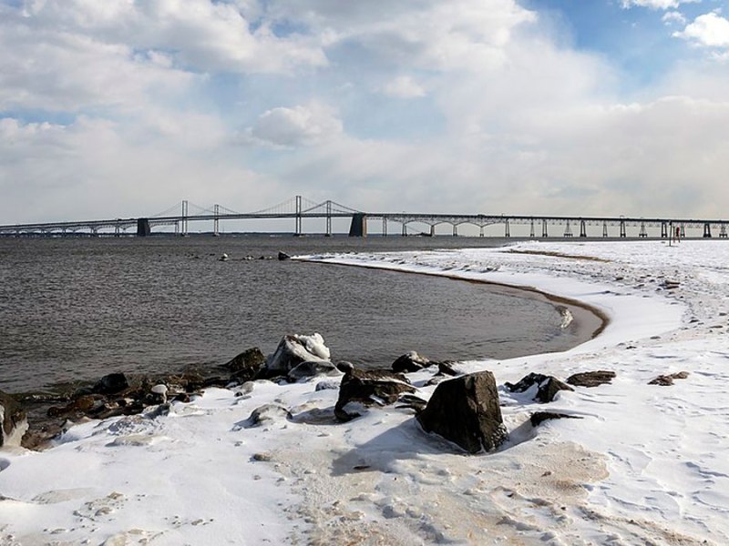 Climate Change Is Driving Dangerous Bacteria Farther North