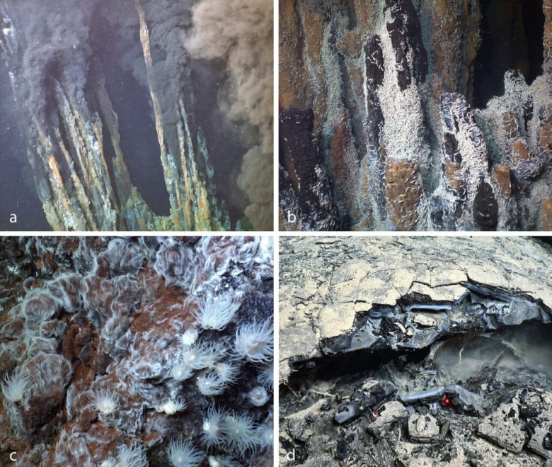 Four-panel series of photographs from Alvin’s 2022 Science Verification Expedition showing dark plumes rising from tall, thin hydrothermal vent chimneys; abundant Rimicaris shrimp on an active hydrothermal chimney; anemones and filamentous microbial at a hydrothermal site; and a hardened young lava flow with fresh glass and a thin coating of sediment covering.