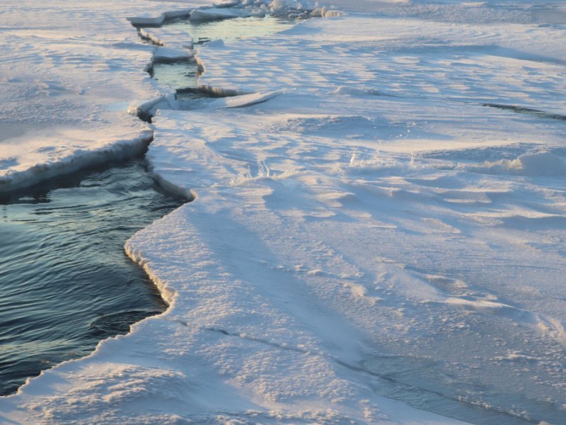 Finding Consensus on Arctic Ocean Climate History