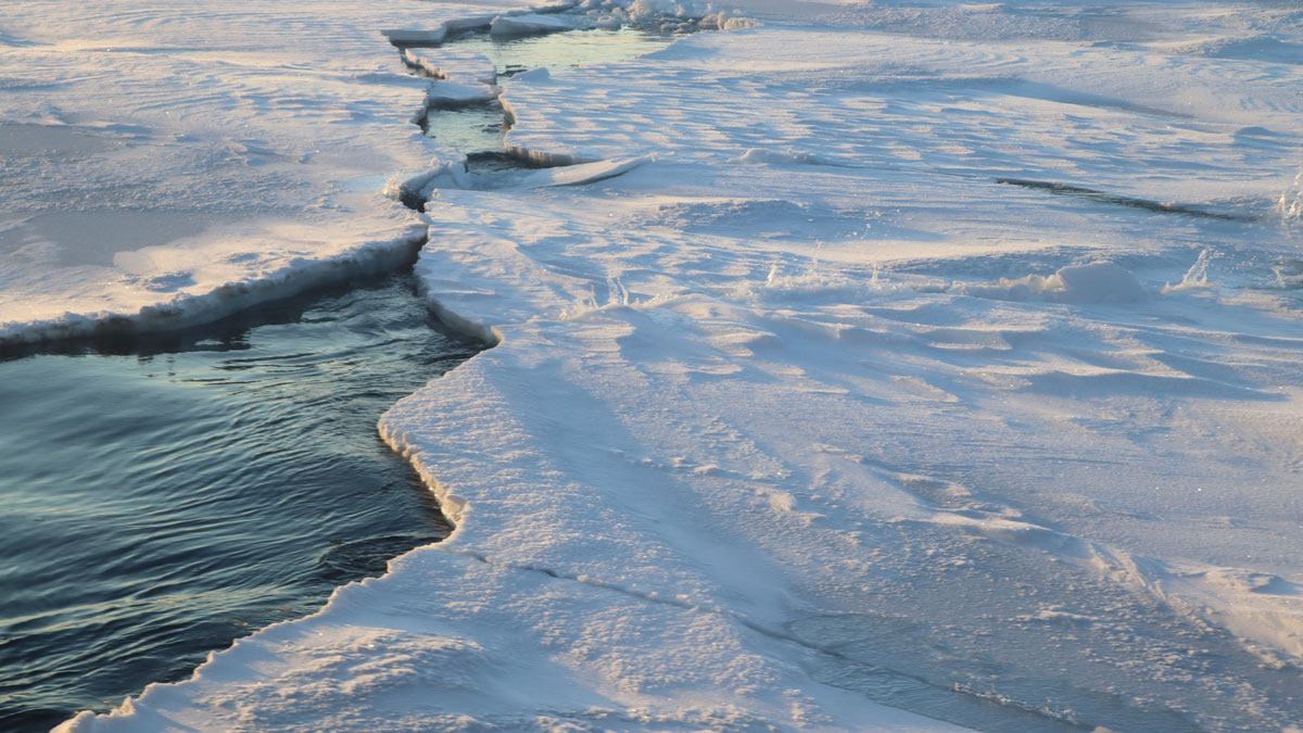 Close-up view of pieces of sea ice separated by a strip of open water.