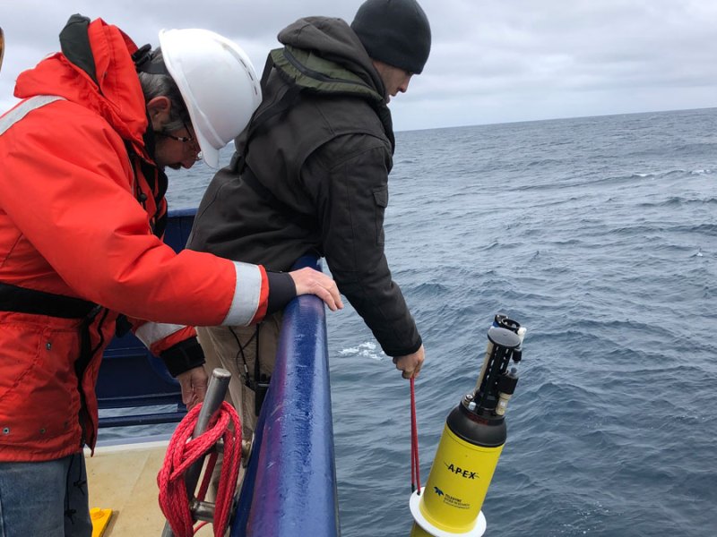 Robotic Floats Quantify Sinking Carbon in the Southern Ocean