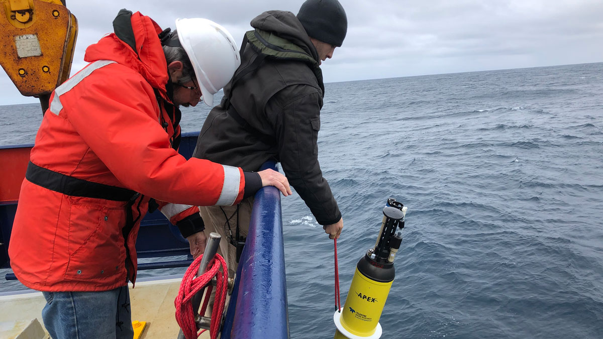 Two people lean over the side of a ship, lowering a long, yellow cylindrical instrument into the ocean.