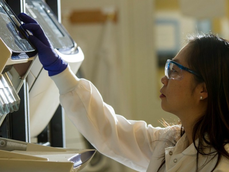 NSF Plans to Abolish Divisions