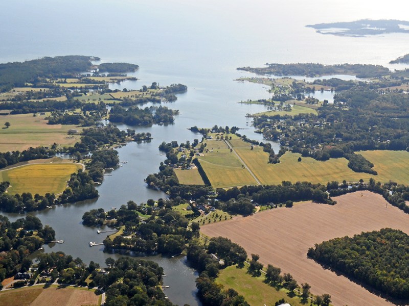 River Alkalinization and Ocean Acidification Face Off in Coastal Waters