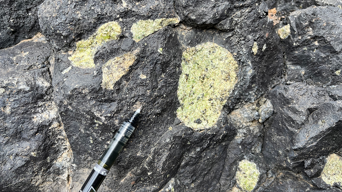 Close up view of the surface of dark-colored rock containing several large pale green crystals. The tip of a pen appears beside the rock for scale.