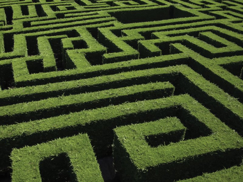 Navigating the Maze