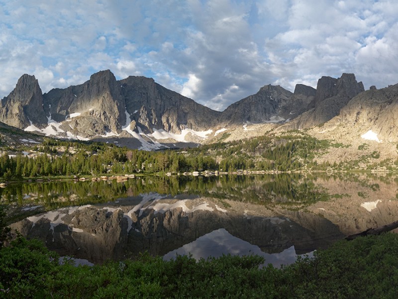 DNA in Lake Sediment Reveals the Impact of Introduced Fish