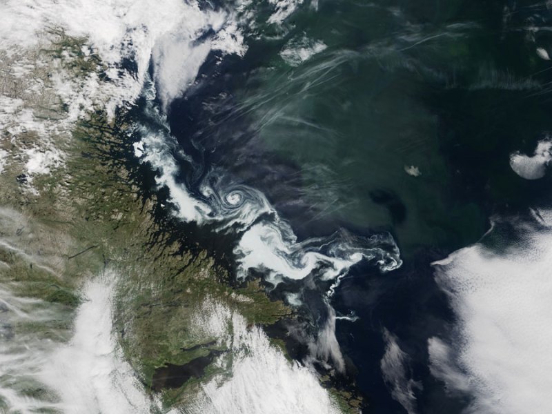 Water Density Shifts Can Drive Rapid Changes in AMOC Strength