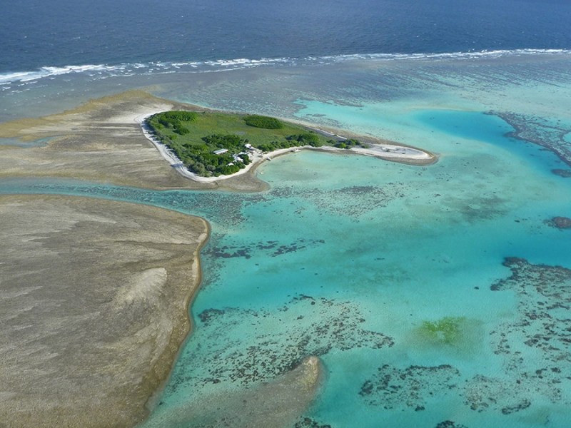 Great Barrier Reef Corals Hit Hard by Marine Heat Wave