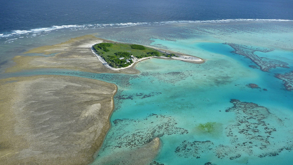 Aerial view of One Tree Island in the Great Barrier Reef