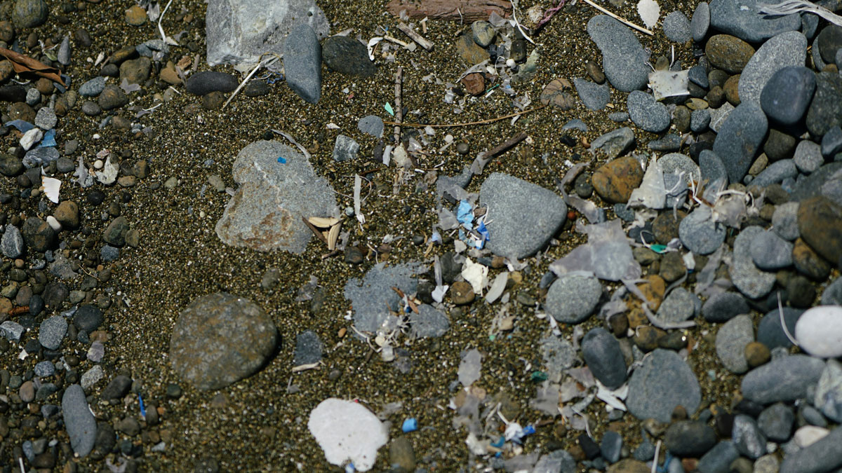 Small plastic fragments on sand and stones.