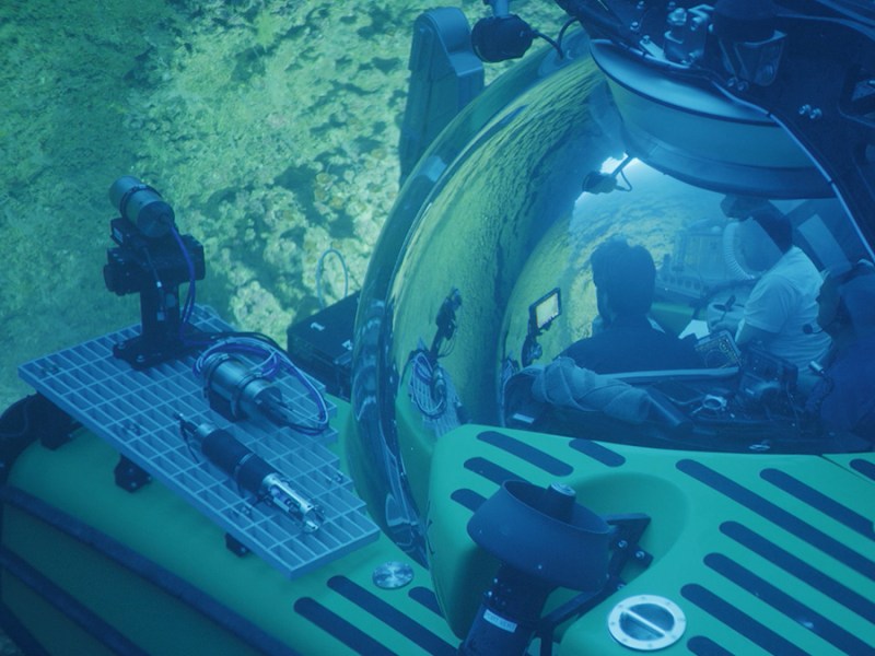 Red Sea Corals Survived the Late Glacial Crisis