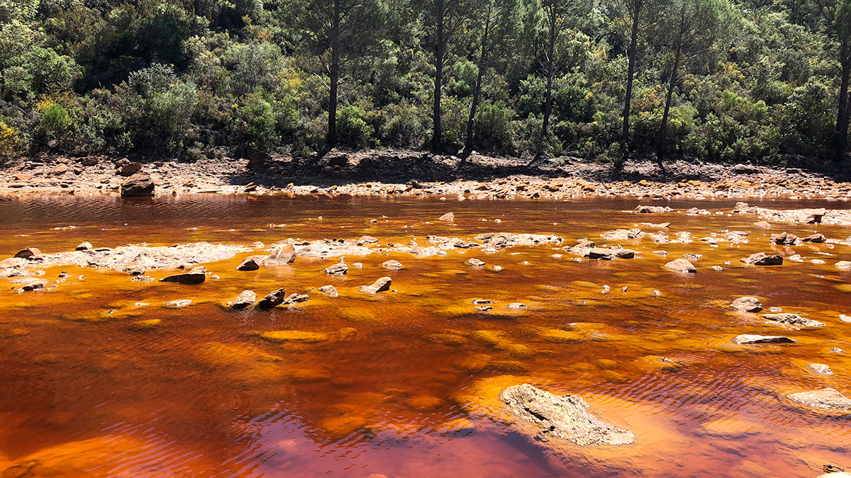 Red-tinted water flows in a shallow stretch of river, with a rocky shoreline and forested hillslope in the background.