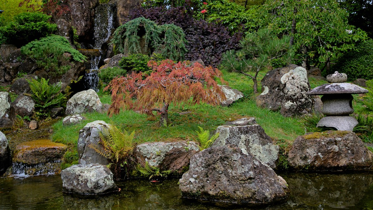 A garden with colorful trees and a waterfall.