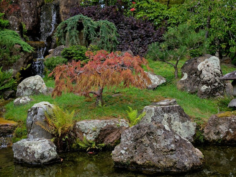 As Climate Changes, So Do Gardens Across the United States
