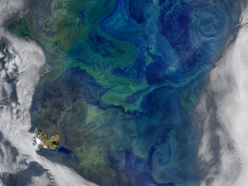 On the Origins of Subantarctic Mode Waters