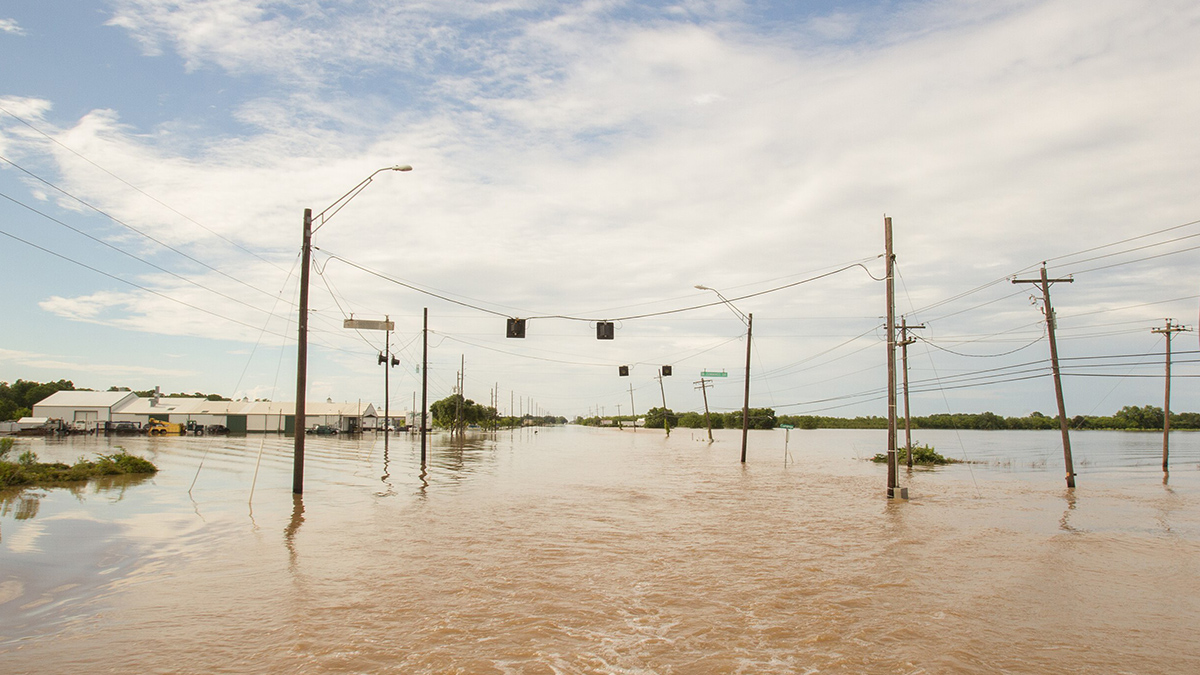 Telephone poles and power lines sit in brown flood water that covers a street.