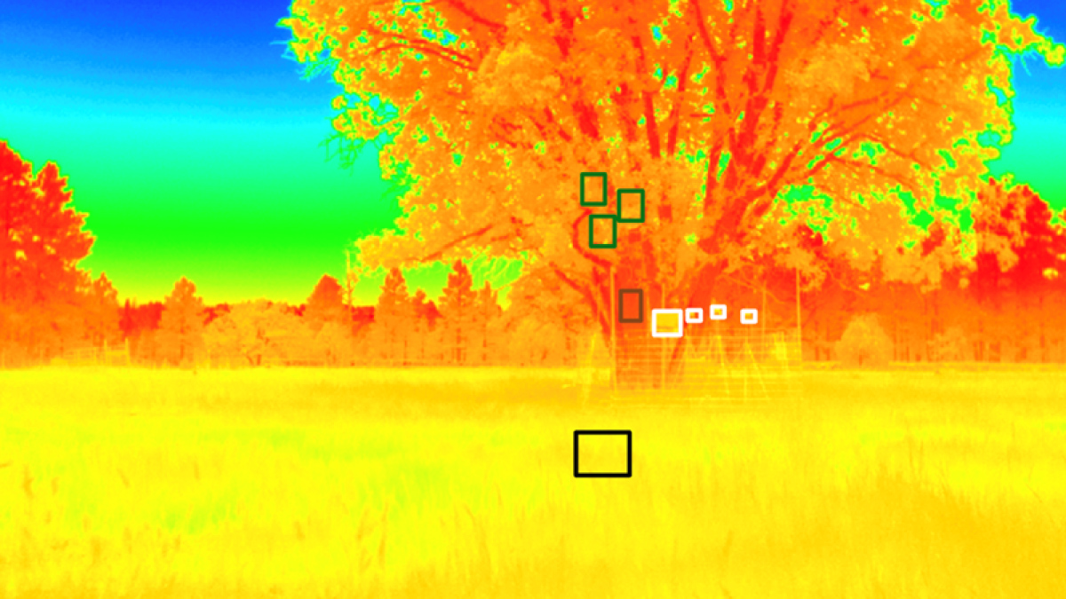 An image of a tree in a field taken by a thermal imaging camera, with cooler to warmer temperatures denoted by a spectrum of colors from blue to red