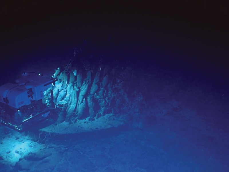 Submerged in Science