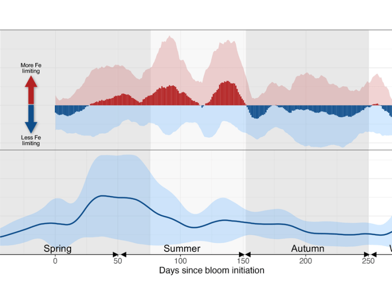 Seasonal Iron Cycle and Production in the Subantarctic Southern Ocean