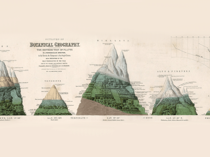 Topography and the Terrestrial Water Cycle
