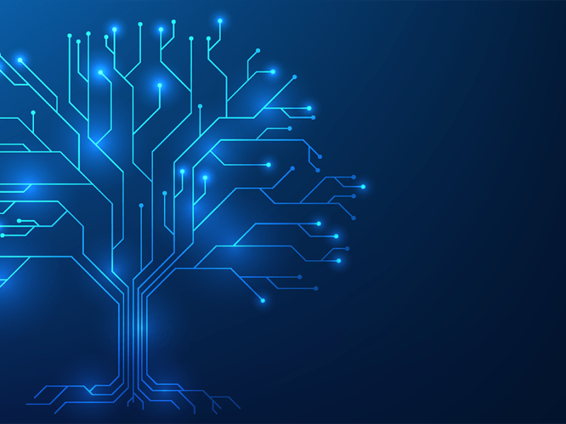 Planting Seeds for Thriving Data Management