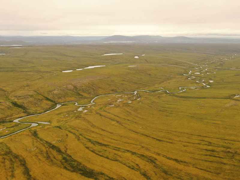 Water Tracks: The Veins of Thawing Landscapes