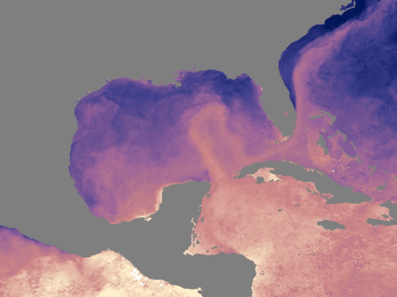 Ocean Current Affairs in the Gulf of Mexico
