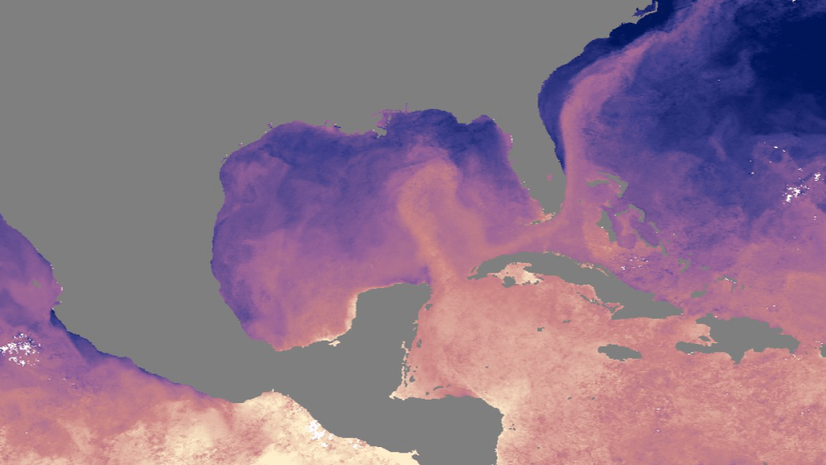 Satellite view image of the Gulf of Mexico and surrounding regions showing satellite-measured water temperature data represented in hues of blue, pink, and yellow
